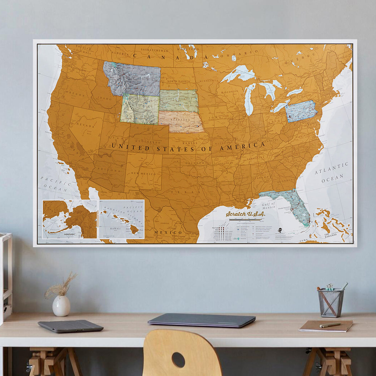 CT01213_M_SILKP - Scratch USA Print