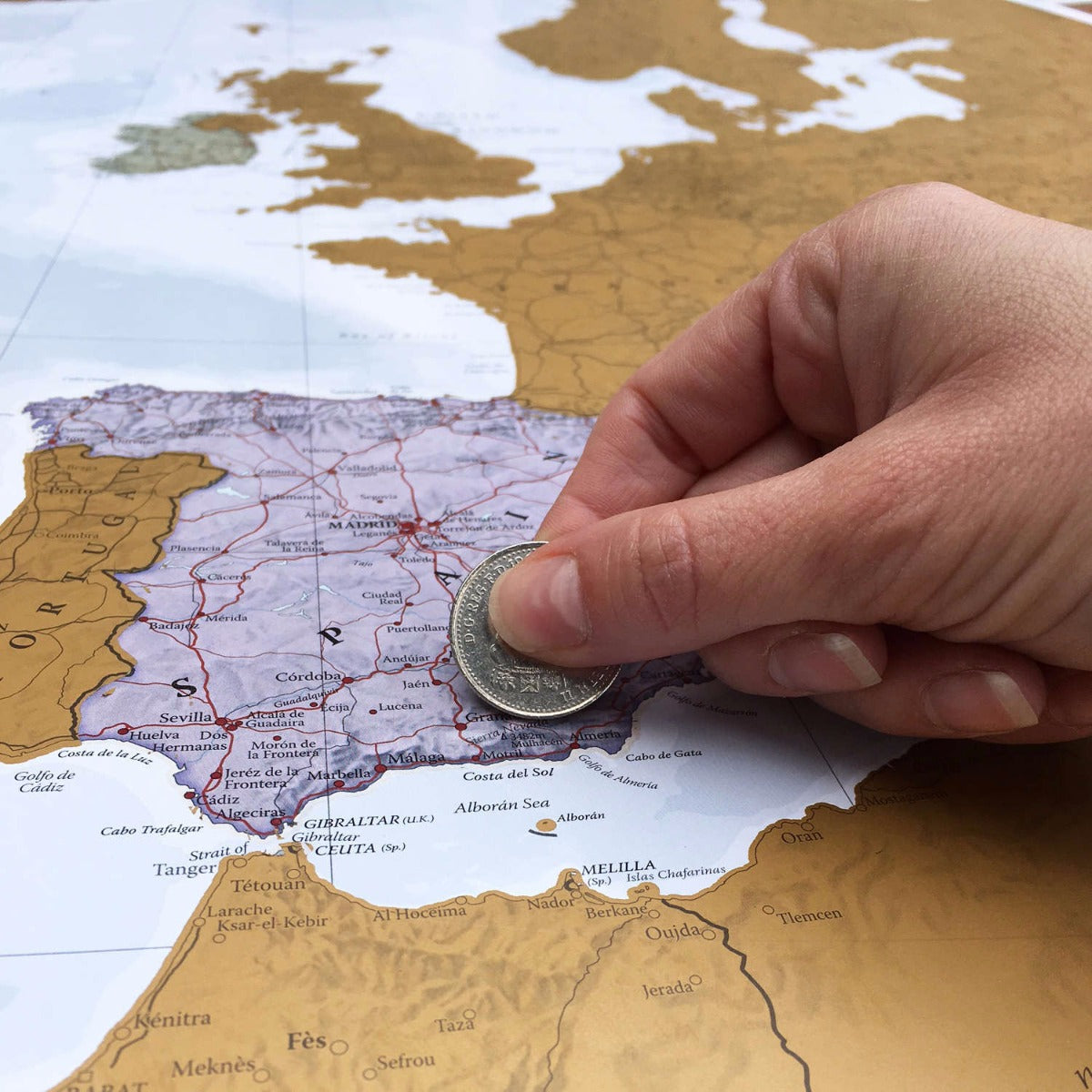 /l/s/ls_scratch-europe-print_ct01384_3.jpg
