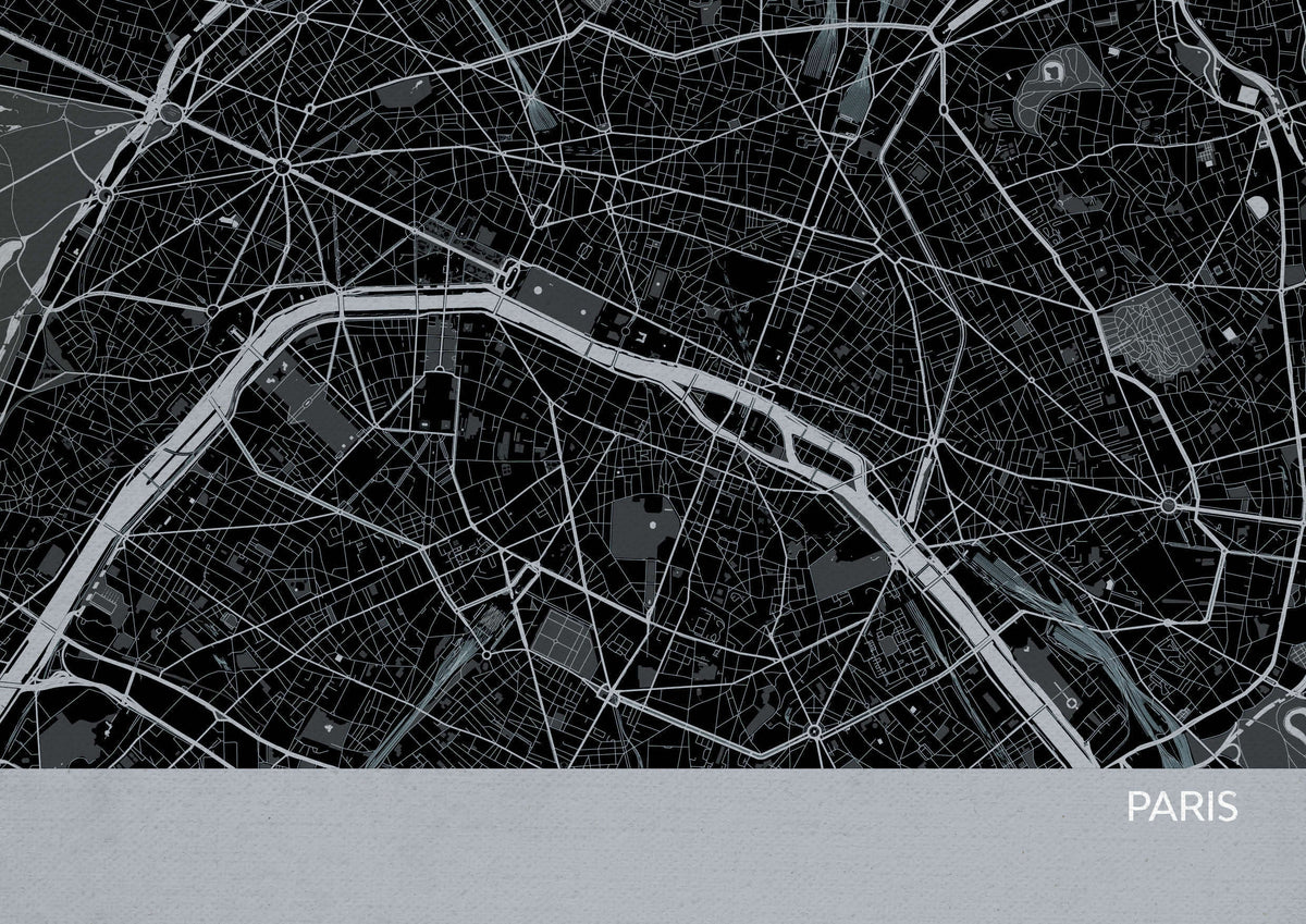 LS01556_4_MATTP Paris City Street Map Print