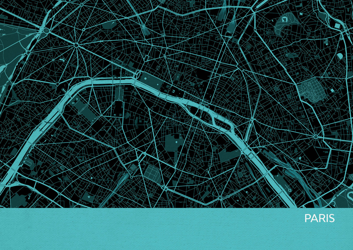 LS01567_4_MATTP Paris City Street Map Print