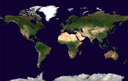 WM00875_S_PAPER - Satellite Map of the World