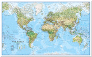 WM00008_L_LMBRD - World Wall Map Environmental