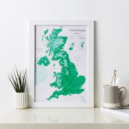UK as Art Map - Shamrock
