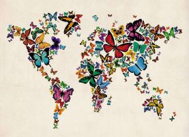 Butterflies Map of the World 3