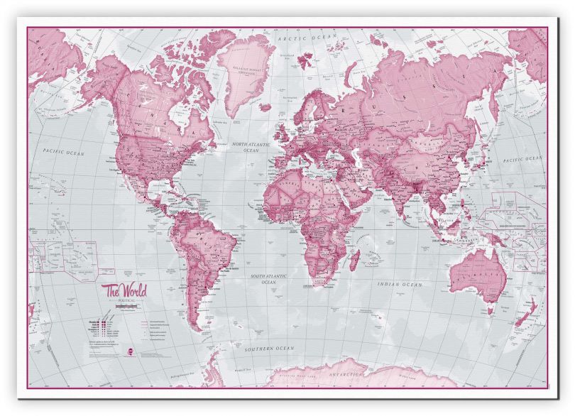 Medium The World Is Art - Wall Map Pink (Canvas)